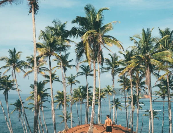 Mirissa Palms Sri Lanka